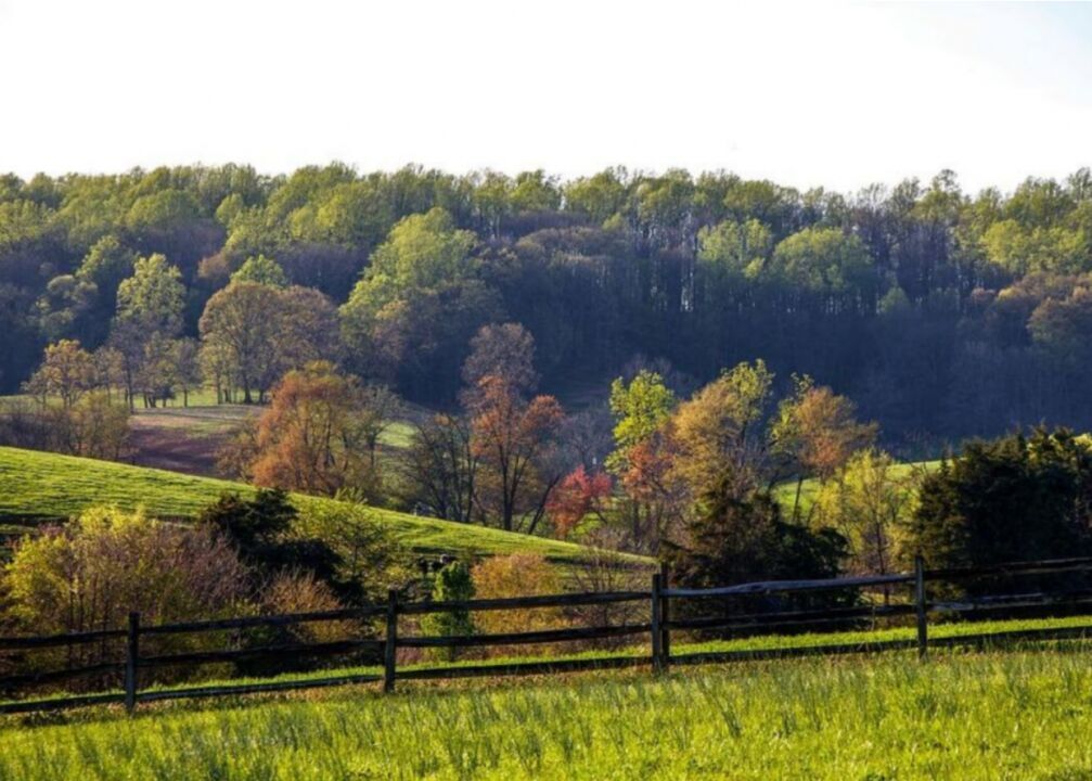 #7. Virginia